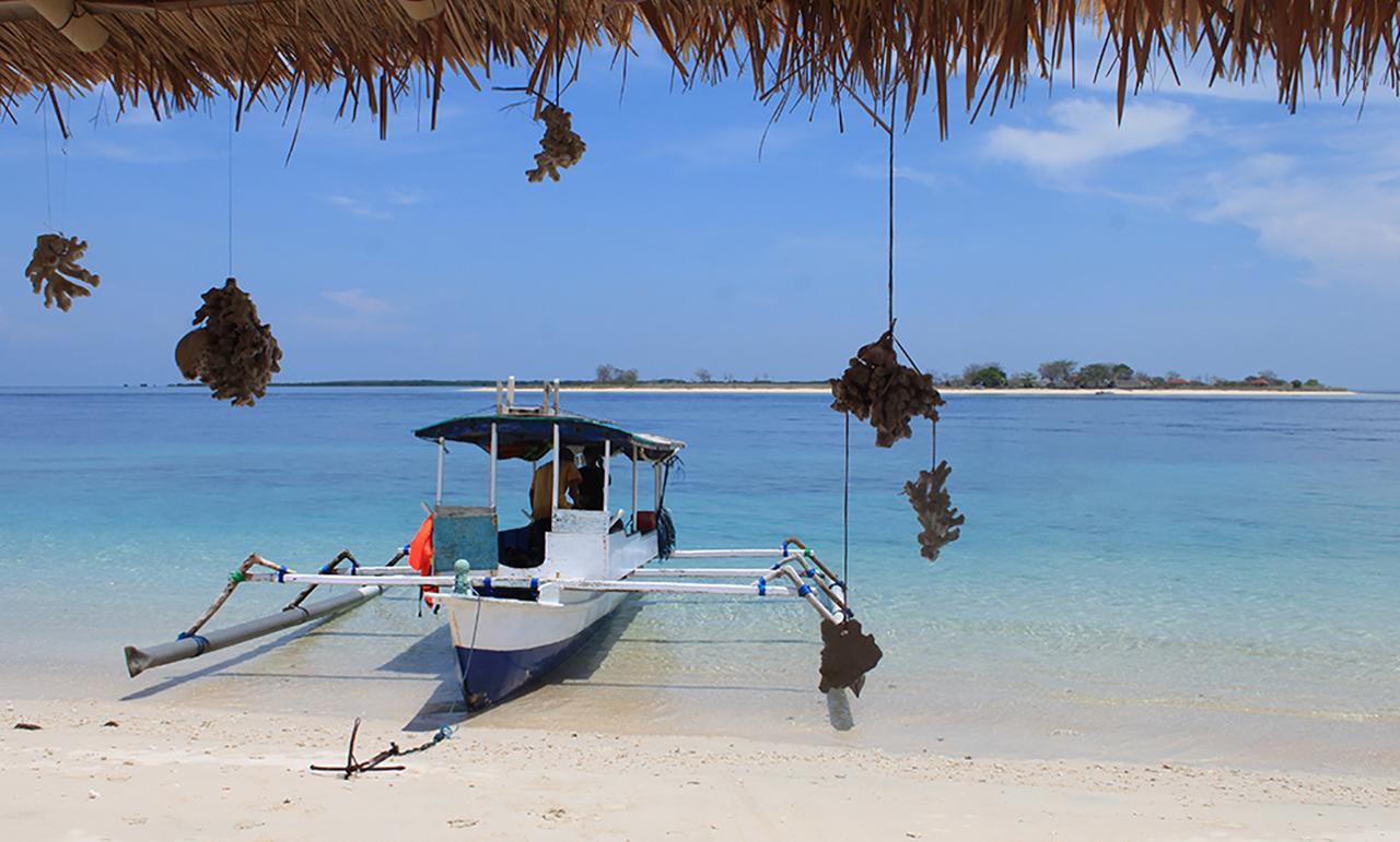 East Lombok Dive Hotel - 3 Private Rooms On The Beach With Seaview & Scuba Diving Center Labuhan Pandan Exterior photo