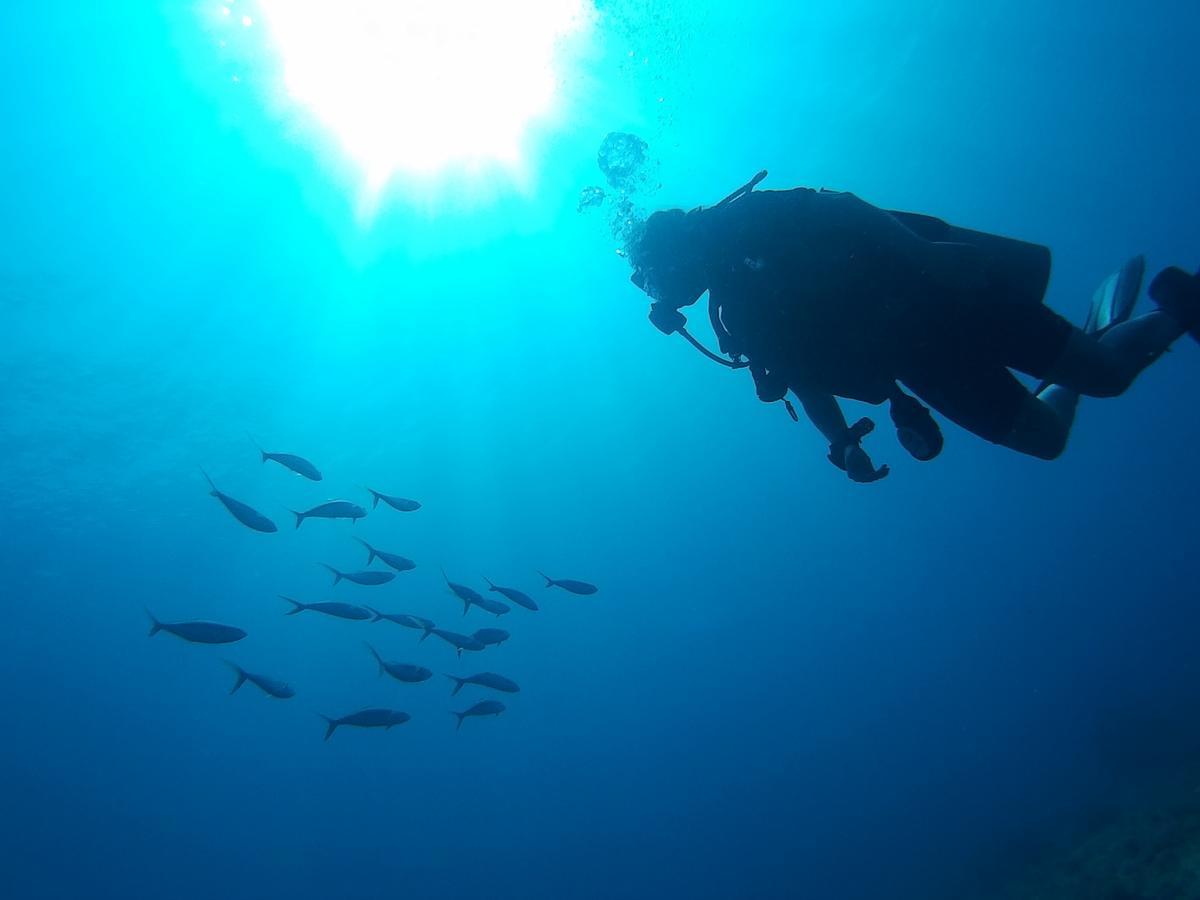 East Lombok Dive Hotel - 3 Private Rooms On The Beach With Seaview & Scuba Diving Center Labuhan Pandan Exterior photo